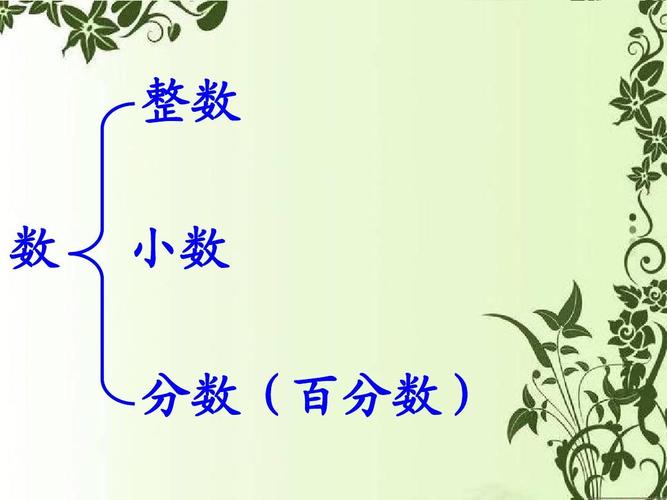 整数 数 小数 分数(百分数)