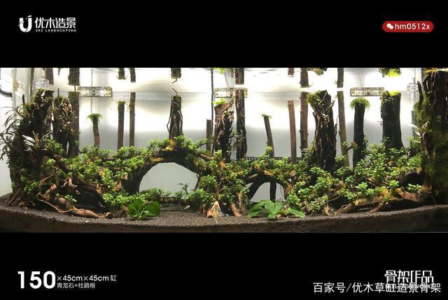 往日往年我经历过的成景返图的草缸造景