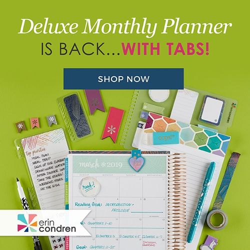 my new blog planner: erin condren deluxe monthly planner review