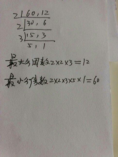 求出下列每组数的最大公因数和最小公倍数:63和81,17和51,33和34,60和