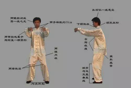 医养库 - 气血不足百病生,站桩能把气血迅速补起来!