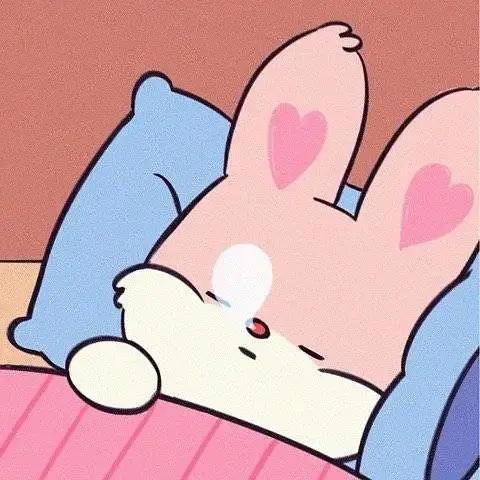 球球在睡觉的头像