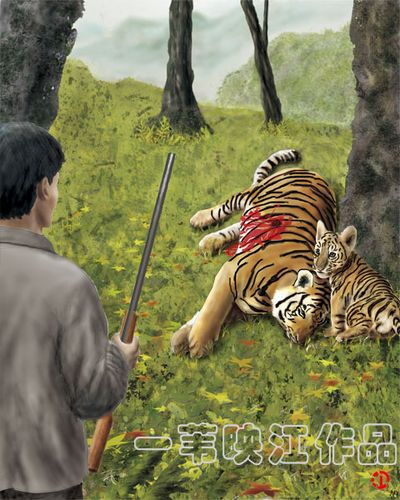 华南虎的灭绝,谁之过
