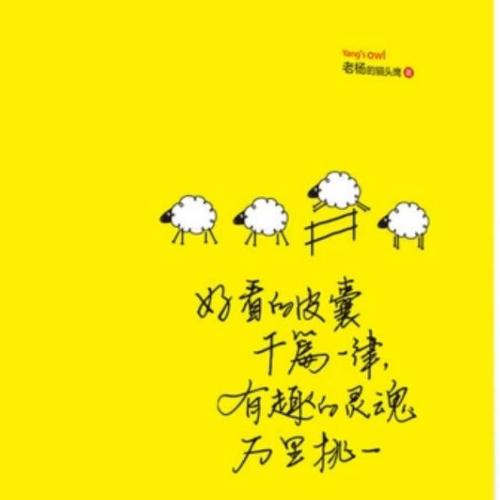 好看的皮囊千篇一律