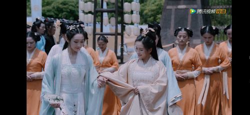 陈情令 宣璐~江厌离,胡小庭~金夫人