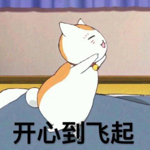 超可爱猫咪老师表情包芜湖开心到起飞