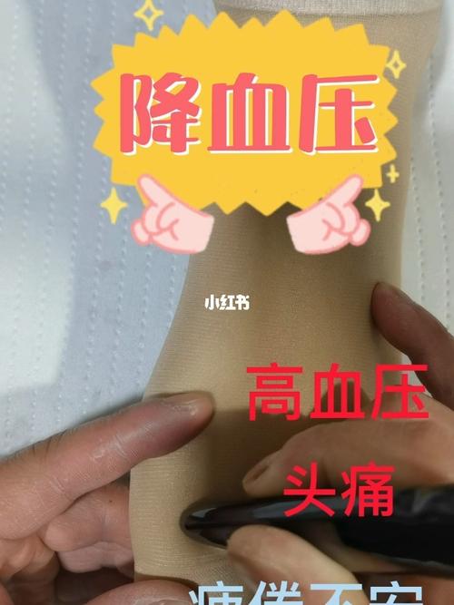 降血压_高血压_降血压_养生_中医_降压_中医养生_医疗