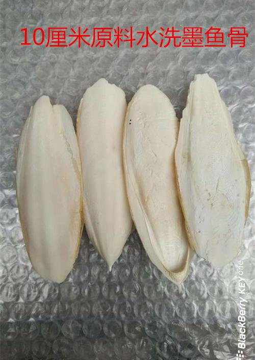 中药材海螵蛸 宠物用墨鱼骨原料 各种大小规格批发零售