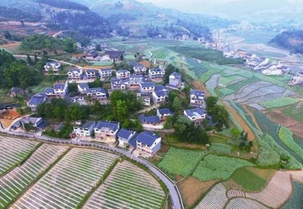 金堂官仓镇最美乡村评选开启?