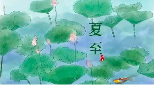 夏至丨清热健脾话梅姜,双花清补凉秘方在这里