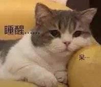 睡醒啦表情包 - 睡醒啦微信表情包 - 睡醒啦qq表情包 - 发表情 fa