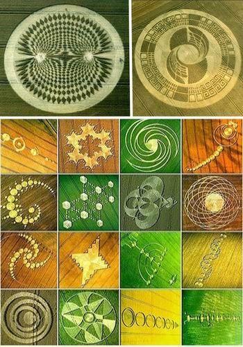 麦田怪圈-花瓣网|陪你做生活的设计师 | 麦田怪圈图片