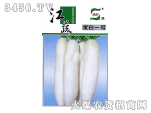 江蔬-优白一号萝卜诚招代理商