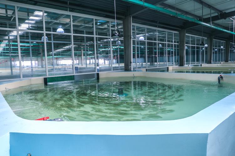 日照:工厂化循环水养殖模式 助力渔业经济高质量发展