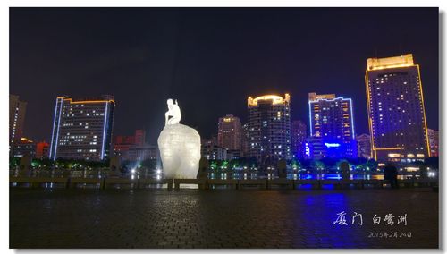 厦门 白鹭洲夜景