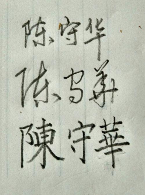 陈守华书法