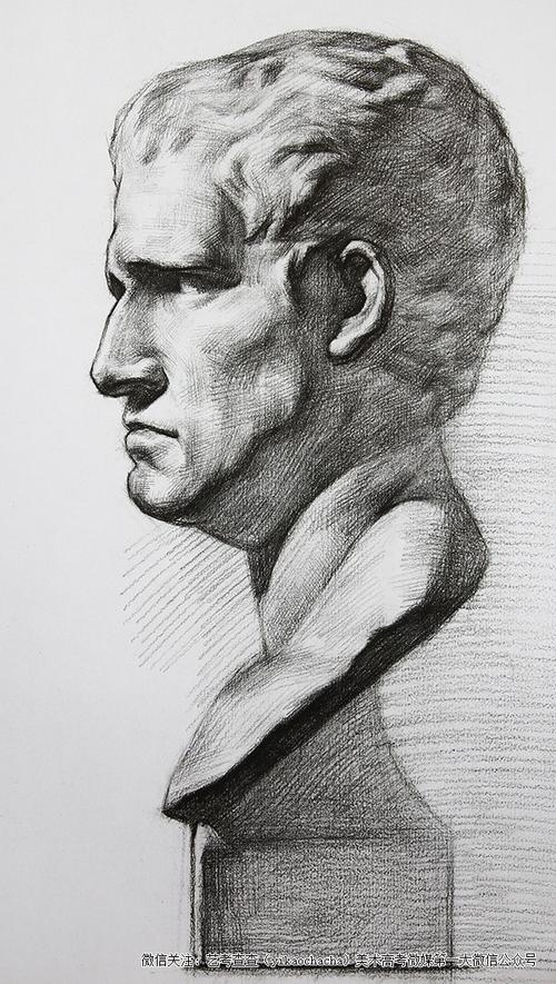 阿格里巴侧面素描石膏像临摹范本