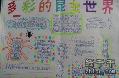 怎样制作沙漠手抄报 怎样画手抄报