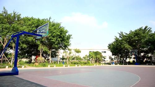 篮球场社区篮球场体育便民生活健康宜居_1920x1080