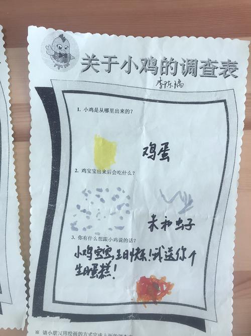 小三班——小鸡吃什么-锦绣幼儿园