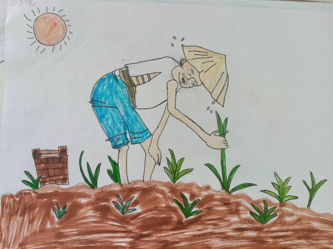 《揠苗助长》绘本