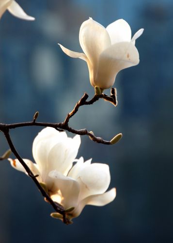 731_1024竖版 竖屏