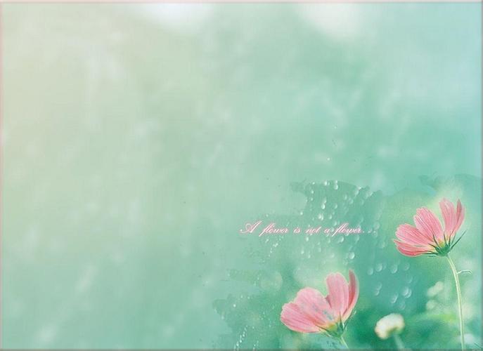 淡绿色滴水背景粉色淡雅小花ppt背景图片