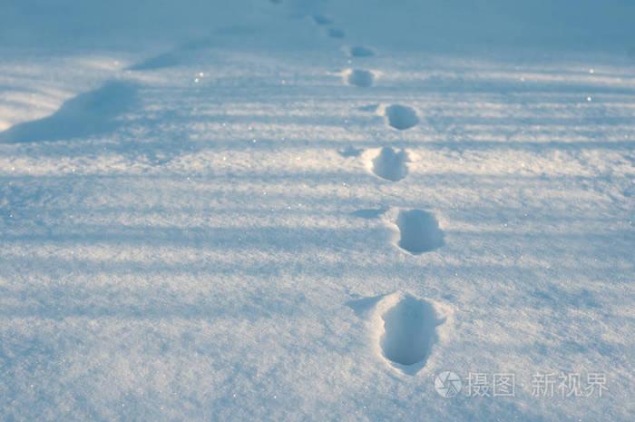 在寒冷的早晨, 在新鲜的雪地上的脚印特写镜头.阿尼马