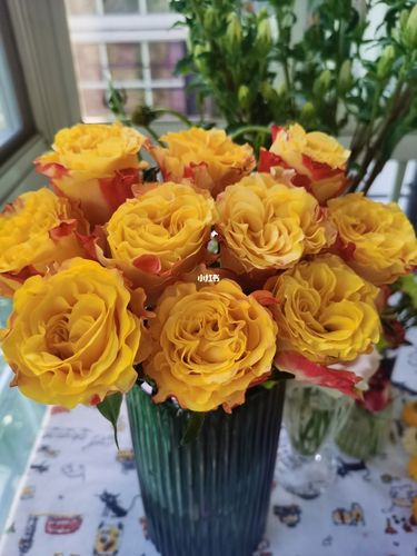 胜利女神单头玫瑰_家装_家居_家居装饰_家居家装_家居