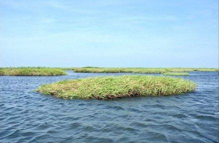母亲湖的呼唤:东洞庭湖国家级自然保护区