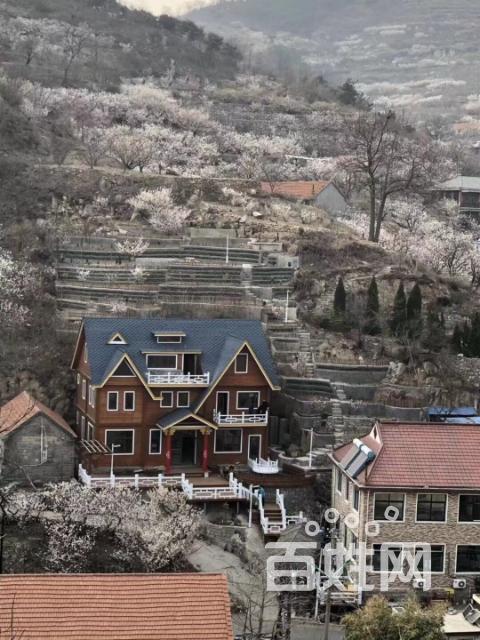 北纬37度海阳九岭夼乡间别墅