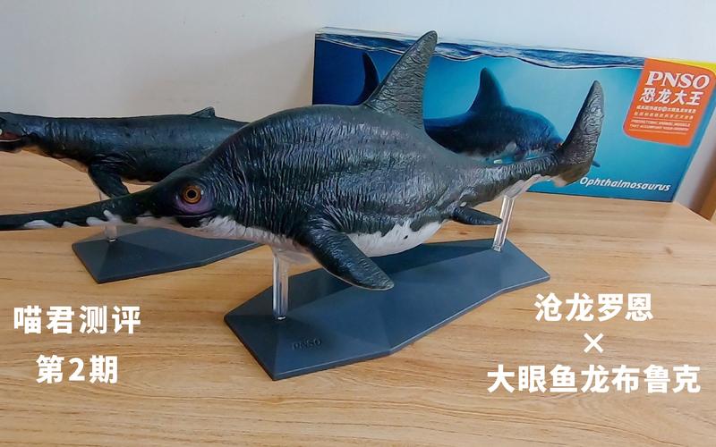 pnso沧龙和大眼鱼龙评测