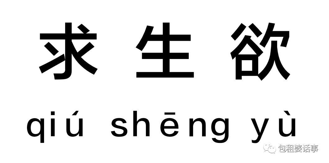 直男的求生欲到底有多强?请向邓超杜江学习一下