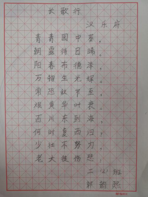 新年艺术汇,二年级硬笔书法作品展示