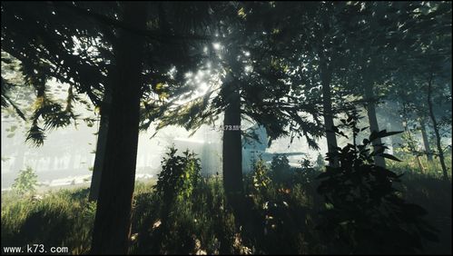 恐怖求存游戏《森林(the forest)》登陆ps4平台