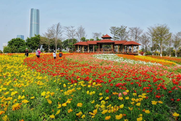 三月的园博苑花海怒放