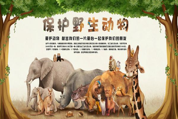 保护动物的标语:爱护动物光荣,捕捉动物可耻!
