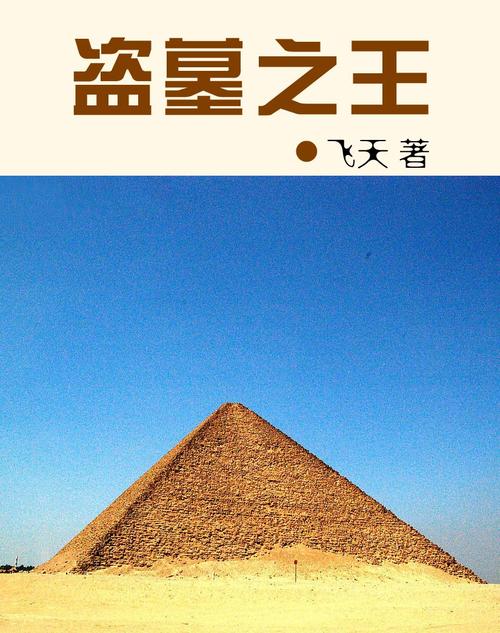 盗墓之王