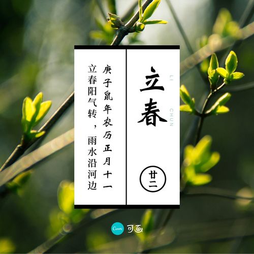 绿色树枝嫩芽立春节气创意中文微信朋友圈