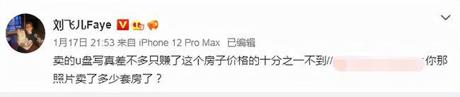 刘飞儿吐槽自购精装房被坑靠卖u盘写真赚了十分之一的房价