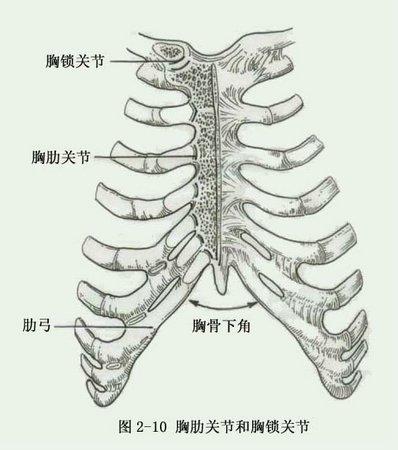 胸锁关节炎症状