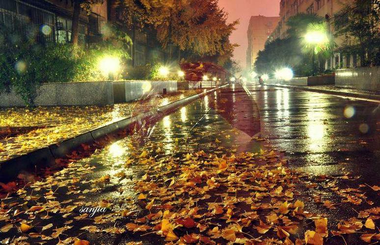 其它 卧眠听雨 写美篇           秋雨夜眠  凉冷三秋夜,安闲一老翁.