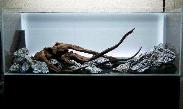 120cm沉木水草造景