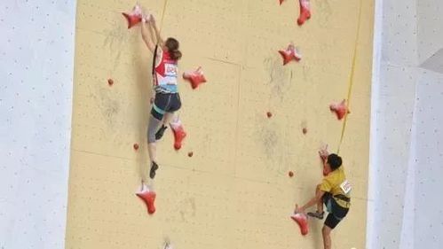 韩国短道速滑奥运冠军林孝俊因扯下一名男队友裤子,遭韩国冰上竞技