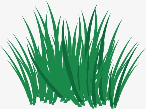 麦苗绿了简笔画