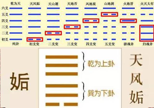 易经入门,易经学习,易经风水学,易经风水学讲座,周易风水书籍,天风姤
