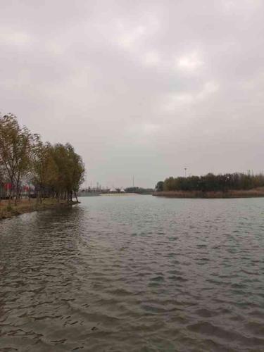 大清河景区-"齐河虽小,真是好地方.城市规划的好,处处