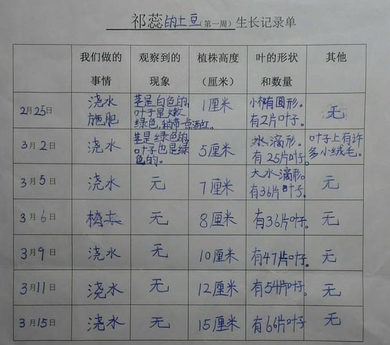 祁蕊的土豆生长记录