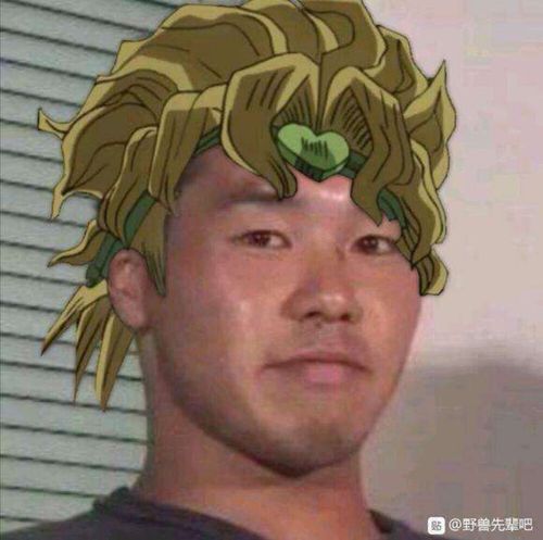 野兽先辈大合集 (粪坑)