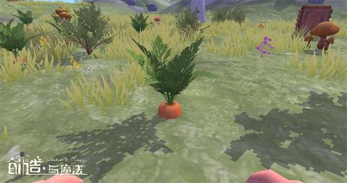 创造与魔法植物大全 所有植物介绍
